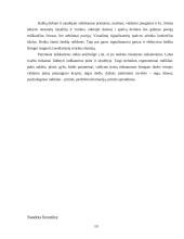 Technikos ergonominiai rodikliai 10 puslapis