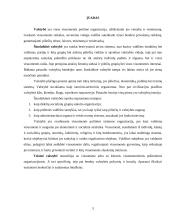 Teisinės valstybės samprata 2 puslapis