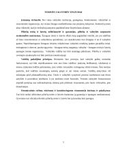 Teisinės valstybės samprata 4 puslapis