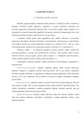 Tekinimo staklės, įrankiai ir darbas tomis staklėmis 3 puslapis