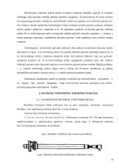 Tekinimo staklės, įrankiai ir darbas tomis staklėmis 10 puslapis