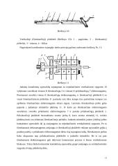 Telefonų linijos 14 puslapis