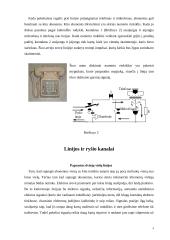 Telefonų linijos 4 puslapis