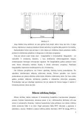 Telefonų linijos 8 puslapis