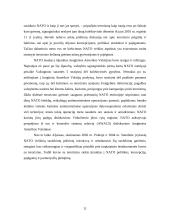 Terorizmas šiuolaikiniame globaliame pasaulyje 11 puslapis