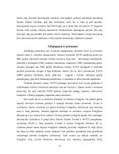 Terorizmas šiuolaikiniame globaliame pasaulyje 13 puslapis