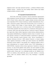 Terorizmas šiuolaikiniame globaliame pasaulyje 14 puslapis