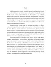 Terorizmas šiuolaikiniame globaliame pasaulyje 18 puslapis