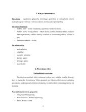 Terorizmas šiuolaikiniame globaliame pasaulyje 4 puslapis