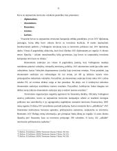 Terorizmas globaliame pasaulyje 11 puslapis