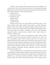 Terorizmas globaliame pasaulyje 5 puslapis