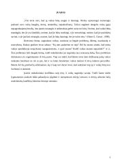 Tėvų ir vaikų konfliktų sprendimo būdai 2 puslapis