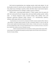 Tiesioginė investicijų nauda 17 puslapis