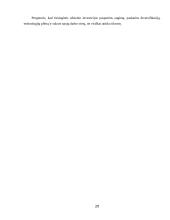 Tiesioginė investicijų nauda 19 puslapis