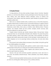 Tiesioginė investicijų nauda 8 puslapis