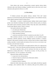 Tiesioginė reklama 6 puslapis