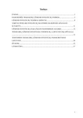 Tiesioginės investicijos 2 puslapis