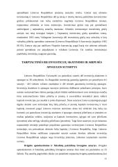 Tiesioginės investicijos 12 puslapis