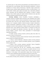 Tiesioginės investicijos 13 puslapis