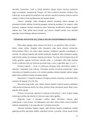 Tiesioginės investicijos 14 puslapis