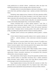 Tiesioginės investicijos 15 puslapis