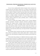 Tiesioginės investicijos 16 puslapis