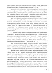 Tiesioginės investicijos 17 puslapis