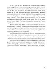 Tiesioginės investicijos 19 puslapis