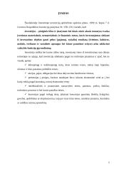 Tiesioginės investicijos 3 puslapis