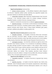 Tiesioginės investicijos 4 puslapis