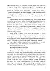 Tiesioginės investicijos 6 puslapis