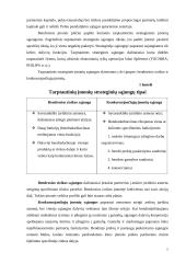 Tiesioginės investicijos 8 puslapis