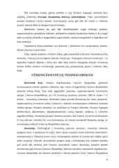Tiesioginės investicijos 9 puslapis