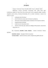 Tiesioginės užsienio investicijos Vilniaus apskrityje 2 puslapis