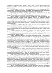 Tiesioginiai mokesčiai 11 puslapis