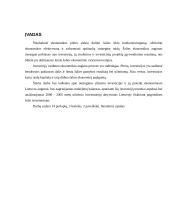 Tiesioginių užsienio investicijų pokyčiai Lietuvoje 2000 – 2005 metais 2 puslapis