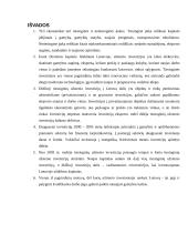 Tiesioginių užsienio investicijų pokyčiai Lietuvoje 2000 – 2005 metais 12 puslapis