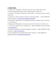 Tiesioginių užsienio investicijų pokyčiai Lietuvoje 2000 – 2005 metais 13 puslapis