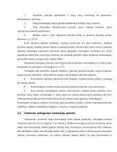 Tiesioginių užsienio investicijų pokyčiai Lietuvoje 2000 – 2005 metais 4 puslapis