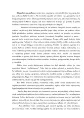 Tiesos ir melo problema  8 puslapis