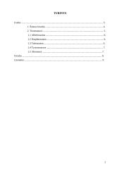 Tiranozaurai 2 puslapis