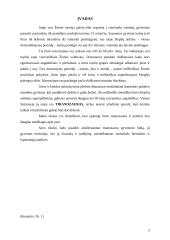 Tiranozaurai 3 puslapis