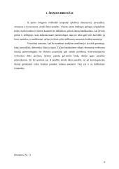 Tiranozaurai 4 puslapis