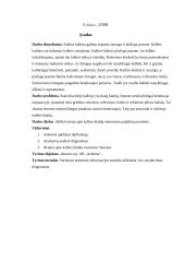 Tyrimas: kalbos klaidų vartojimas įmonėje 2 puslapis