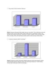 Tyrimas: kalbos klaidų vartojimas įmonėje 3 puslapis