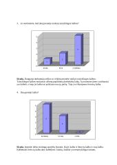 Tyrimas: kalbos klaidų vartojimas įmonėje 4 puslapis