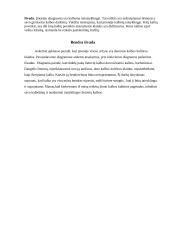 Tyrimas: kalbos klaidų vartojimas įmonėje 7 puslapis