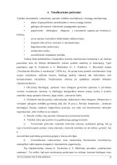 Totalitarinis politinis režimas 20 puslapis