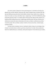 Totalitarizmas 2 puslapis