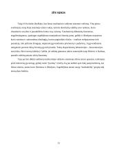 Totalitarizmas 13 puslapis